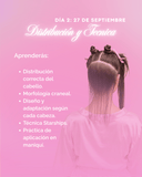 Formación completa en extensiones ($30,00)